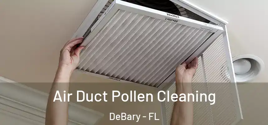  Air Duct Pollen Cleaning DeBary - FL