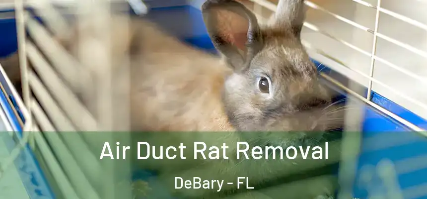  Air Duct Rat Removal DeBary - FL