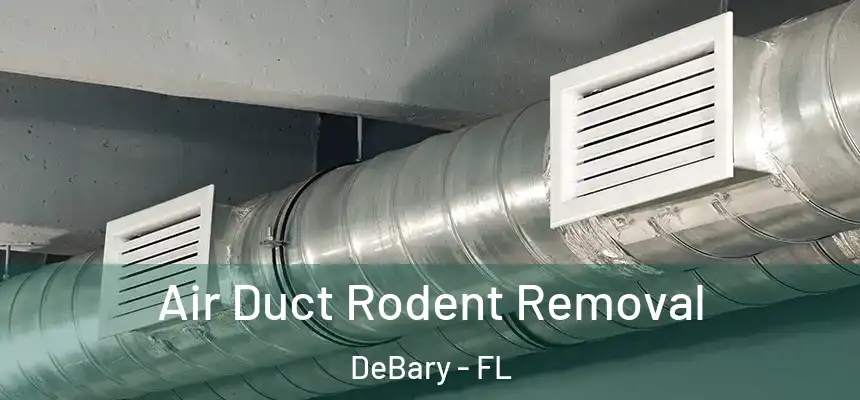  Air Duct Rodent Removal DeBary - FL