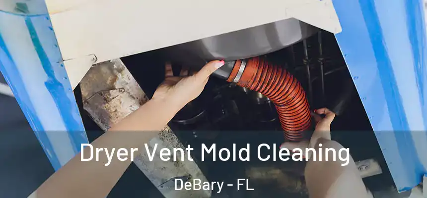 Dryer Vent Mold Cleaning DeBary - FL