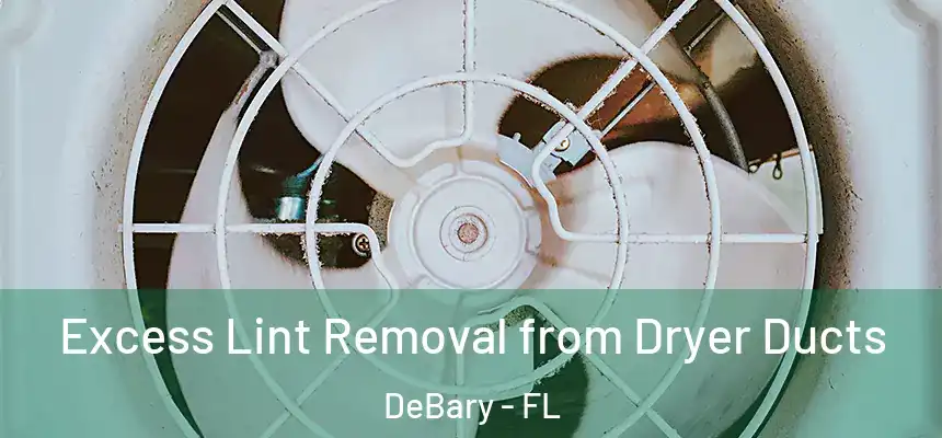 Excess Lint Removal from Dryer Ducts DeBary - FL