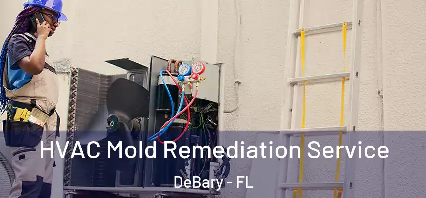 HVAC Mold Remediation Service DeBary - FL