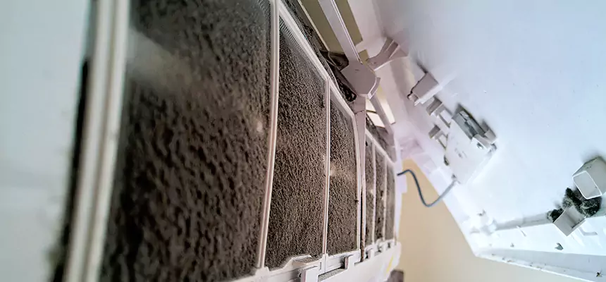 Preventive Air Duct Bacteria Removal in DeBary