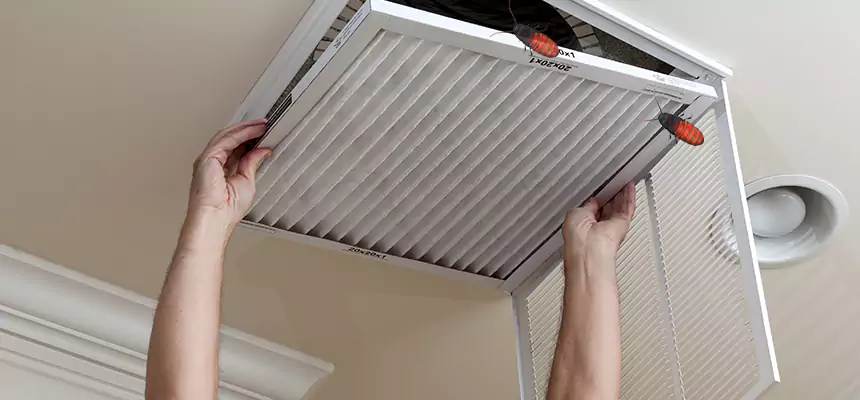 Preventive Cockroach-Proofing for Ducts in DeBary