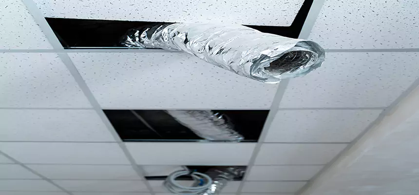 Affordable HVAC Sanitizing After Pest Removal in DeBary