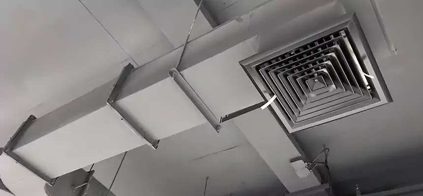 Restorative Allergy Relief Vent Cleaning – Coil, Blower & Housing Detail in DeBary