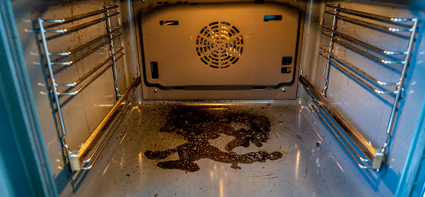 Our Dryer Vent Mold Cleaning Services in DeBary, FL