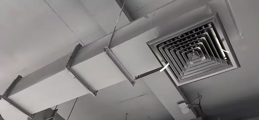 Our Pest Removal From Ducts Services in DeBary, FL