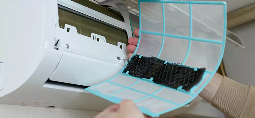 Gentle Ductwork Odor-Control Pet Dander Duct Cleaning in DeBary, FL