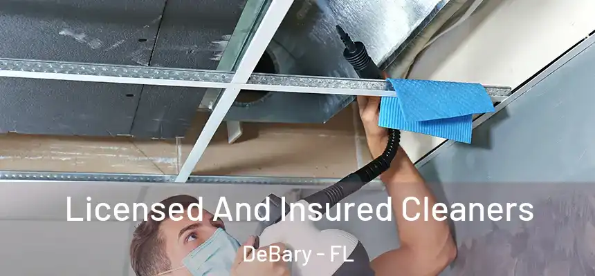 Licensed And Insured Cleaners DeBary - FL