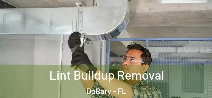 Lint Buildup Removal DeBary - FL