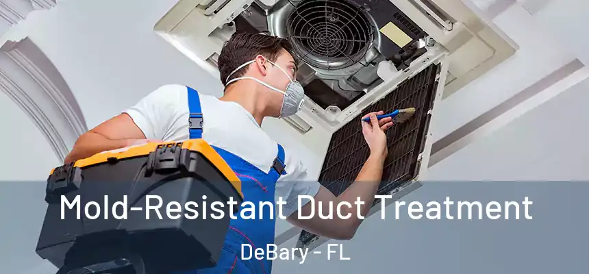 Mold-Resistant Duct Treatment DeBary - FL