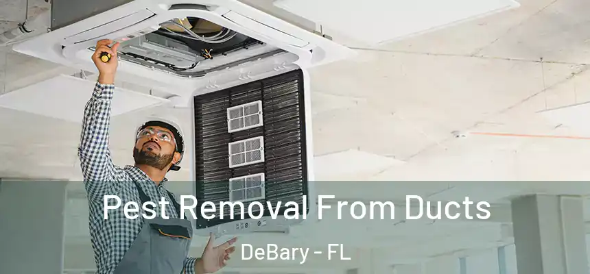 Pest Removal From Ducts DeBary - FL
