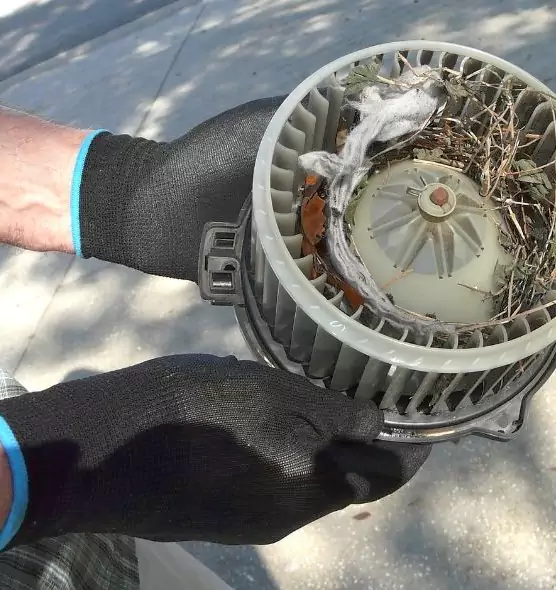 About Air Duct Mice Removal in DeBary, FL