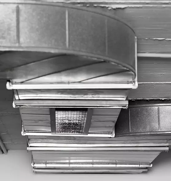 Professional Air Duct Pest Removal in DeBary, FL