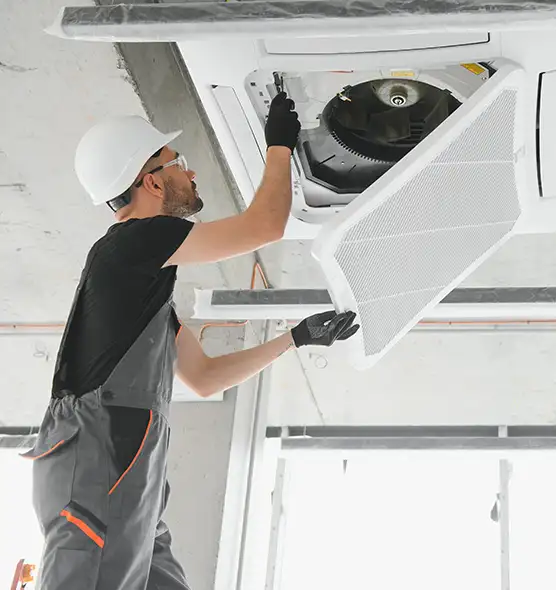 About Air Duct Rodent Removal in DeBary, FL