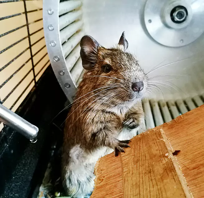 Why Homeowners & Businesses Trust Us DeBary, FL?