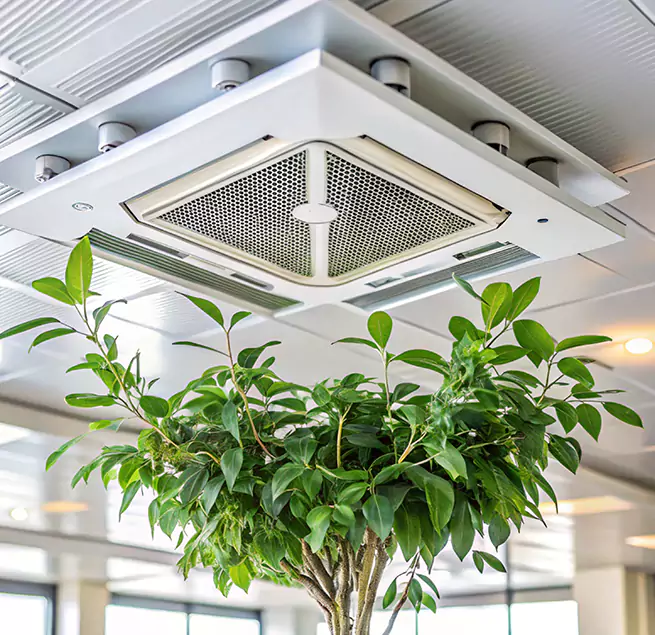 Why Homeowners & Businesses Trust Us in DeBary, FL