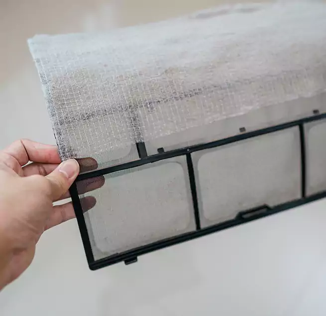 Why Homeowners & Businesses Trust Us in DeBary, FL?