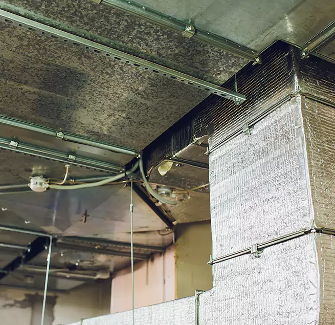 Why Homeowners & Businesses Trust Us in DeBary, FL?