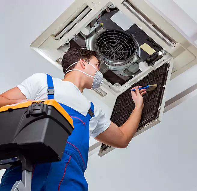 Why Homeowners & Businesses Trust Us in DeBary, FL?